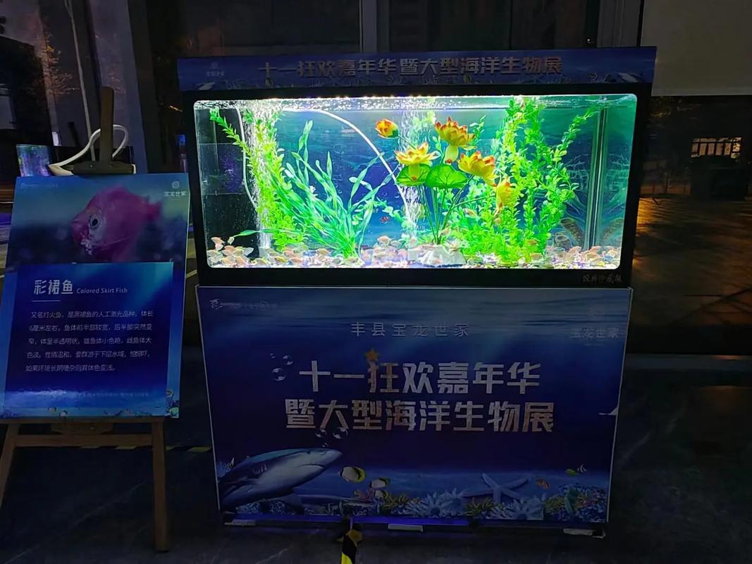 專(zhuān)業(yè)動(dòng)物出租服務(wù) 馬戲團(tuán)表演、海獅與羊駝租賃解決方案